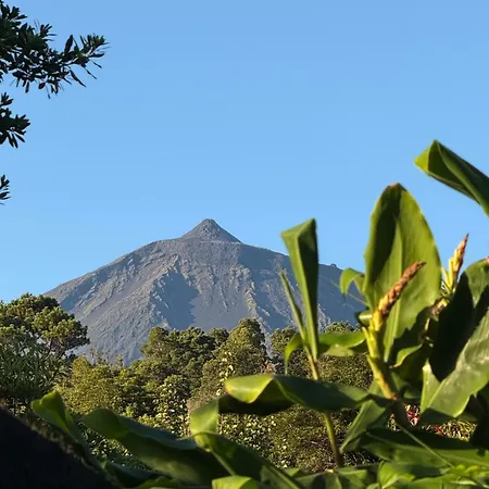 Casa Amaral Σπίτι διακοπών *