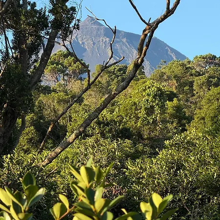 Casa Amaral Σπίτι διακοπών *