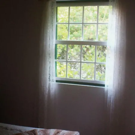 Сasa de vacaciones Casa Amaral Santo Antonio (Pico Island)