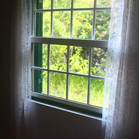 Holiday home Casa Amaral Santo Antonio (Pico Island)