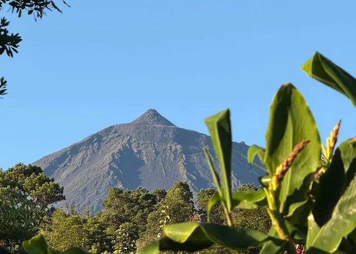 Casa Amaral Holiday home *