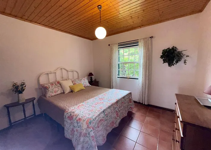 Casa Amaral Holiday home *