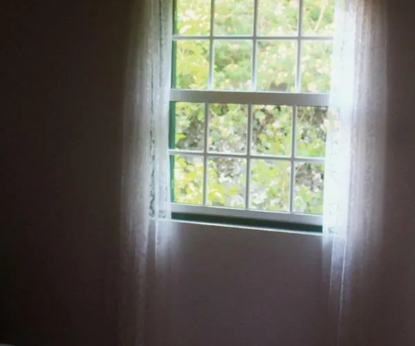 Holiday home Casa Amaral Santo Antonio (Pico Island)