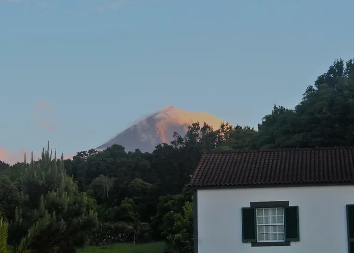 Holiday home Casa Amaral Santo Antonio (Pico Island)