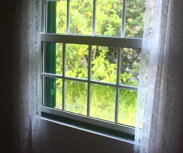 Holiday home Casa Amaral Santo Antonio (Pico Island)