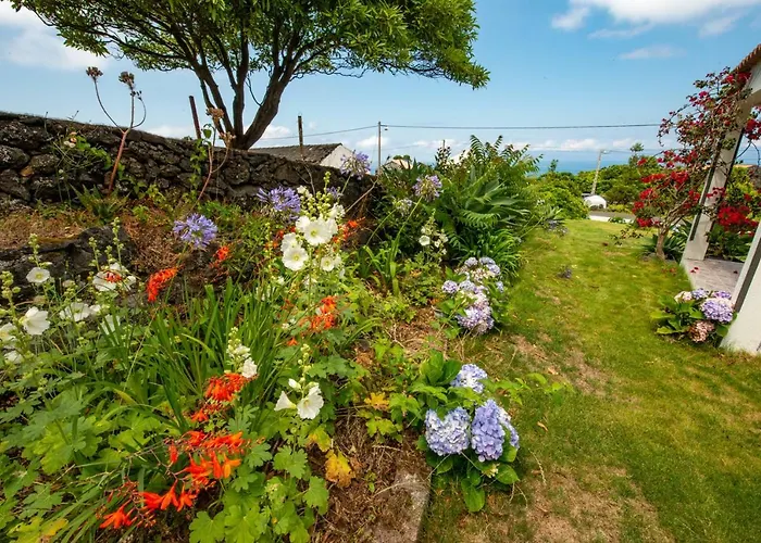 Casa Amaral * Santo Antonio (Pico Island)